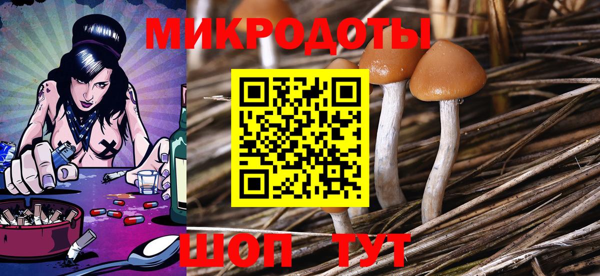 Озёрск  Псилоцибиновые грибы мухоморы  Галлюциногенные грибы прущие грибы  Вход с VPN 